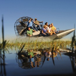Everglades Park Single Admission with Transportation (1 Guest only)